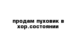 продам пуховик в хор.состоянии